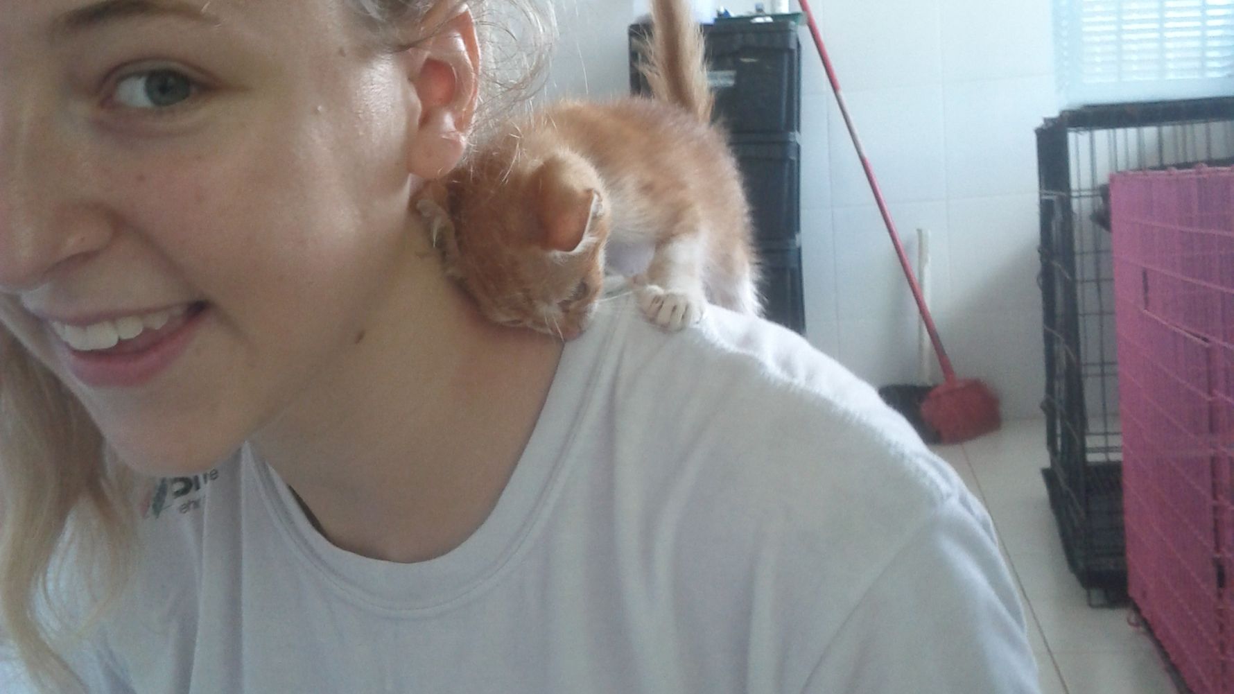 Volunteering in Thailand: Eine Volunteer mit einer kleinen Katze auf der Schulter
