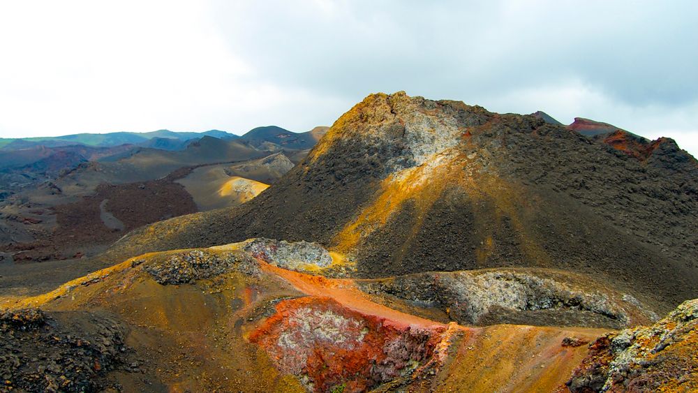 natucate-blog-ecuador-travel-guide-galapagos-siera-negra-volcano-isabel-island