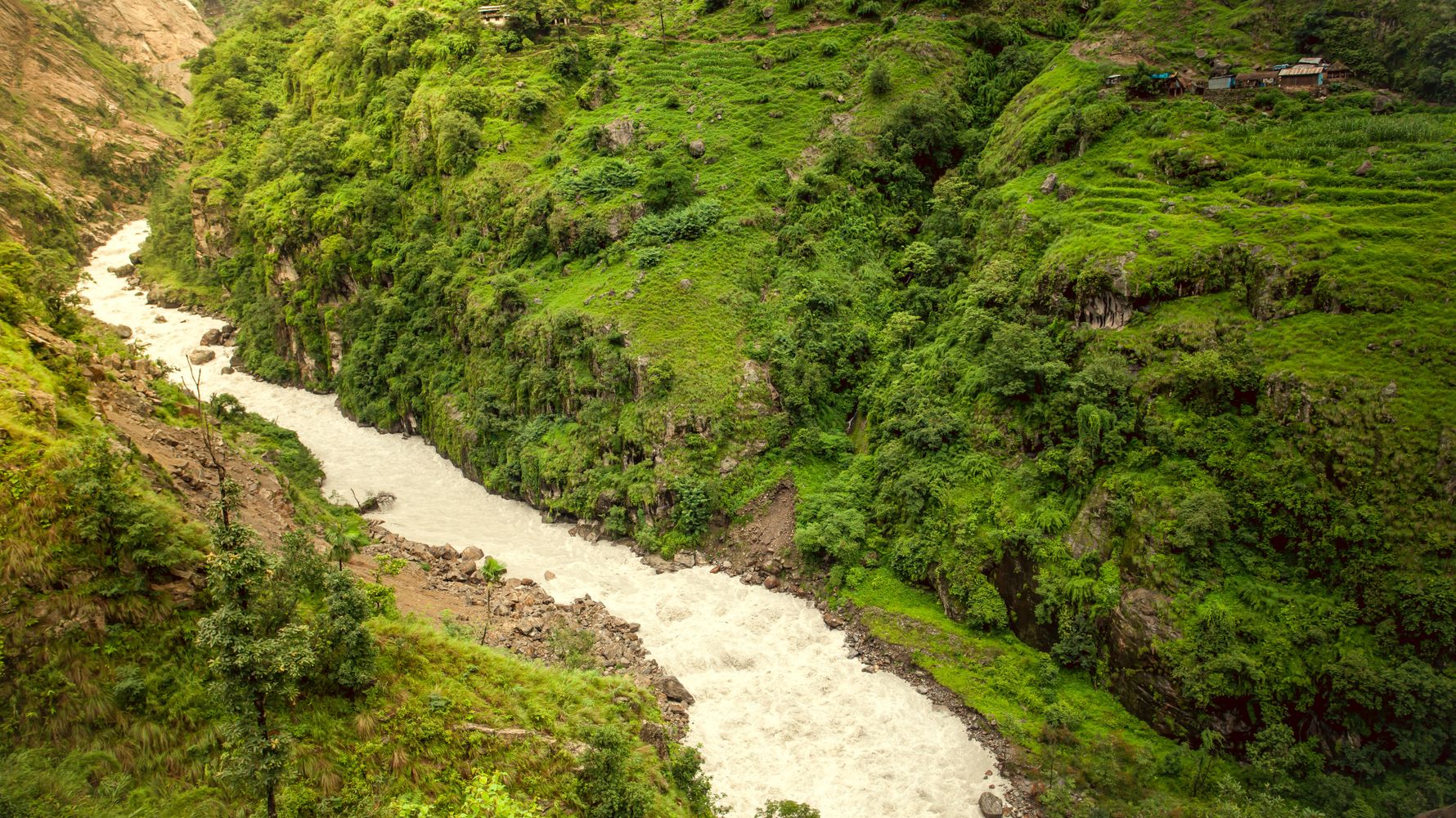 Greenery Nepal