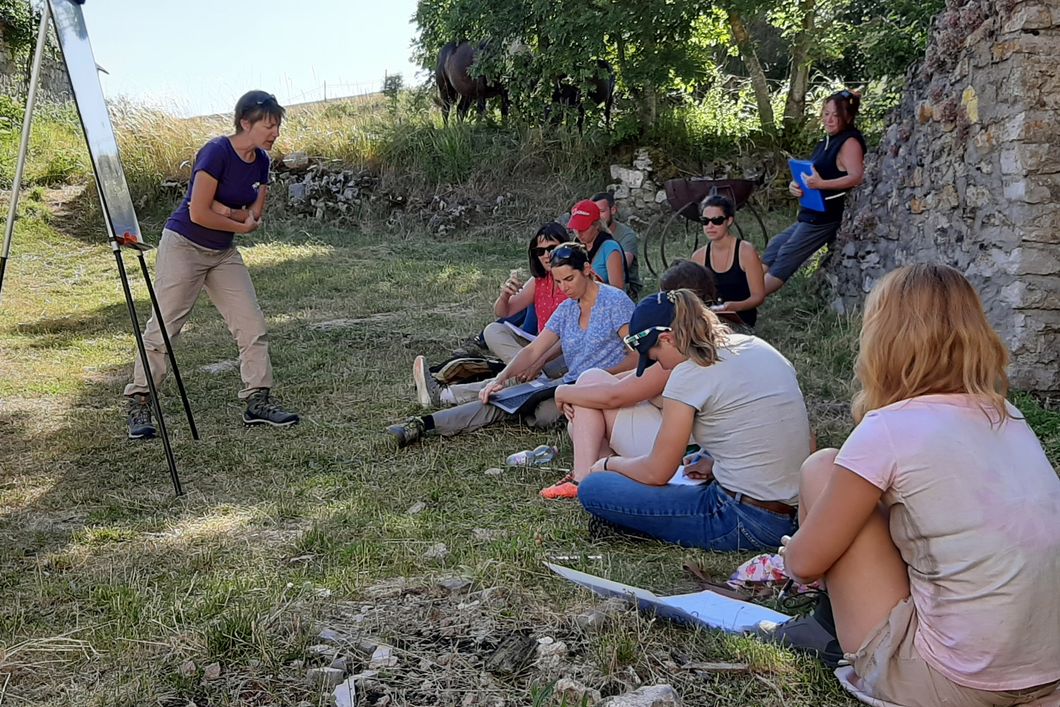 Teamarbeit im Prezewalskischutz