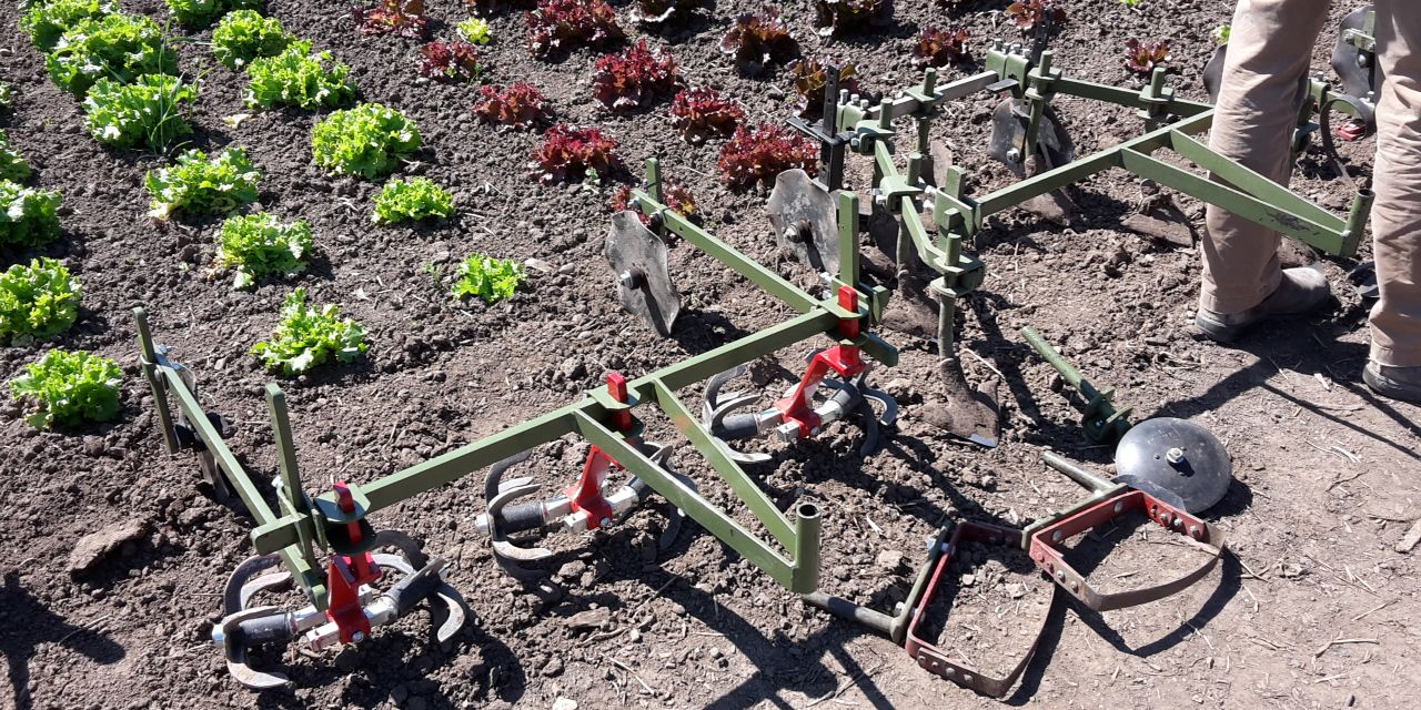 Das von den Praktikanten verwendete Arbeitsmaterial zur Feldpflege