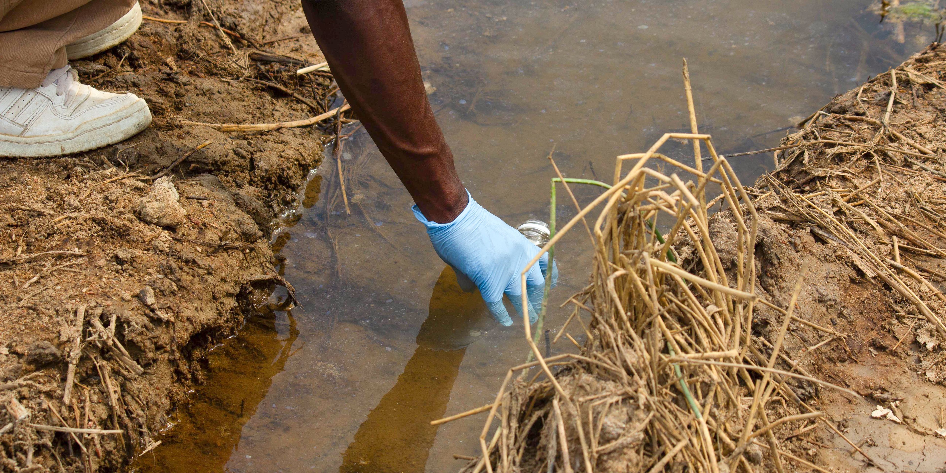 freiwilligenarbeit-namibia-elefanten-wasserprobe