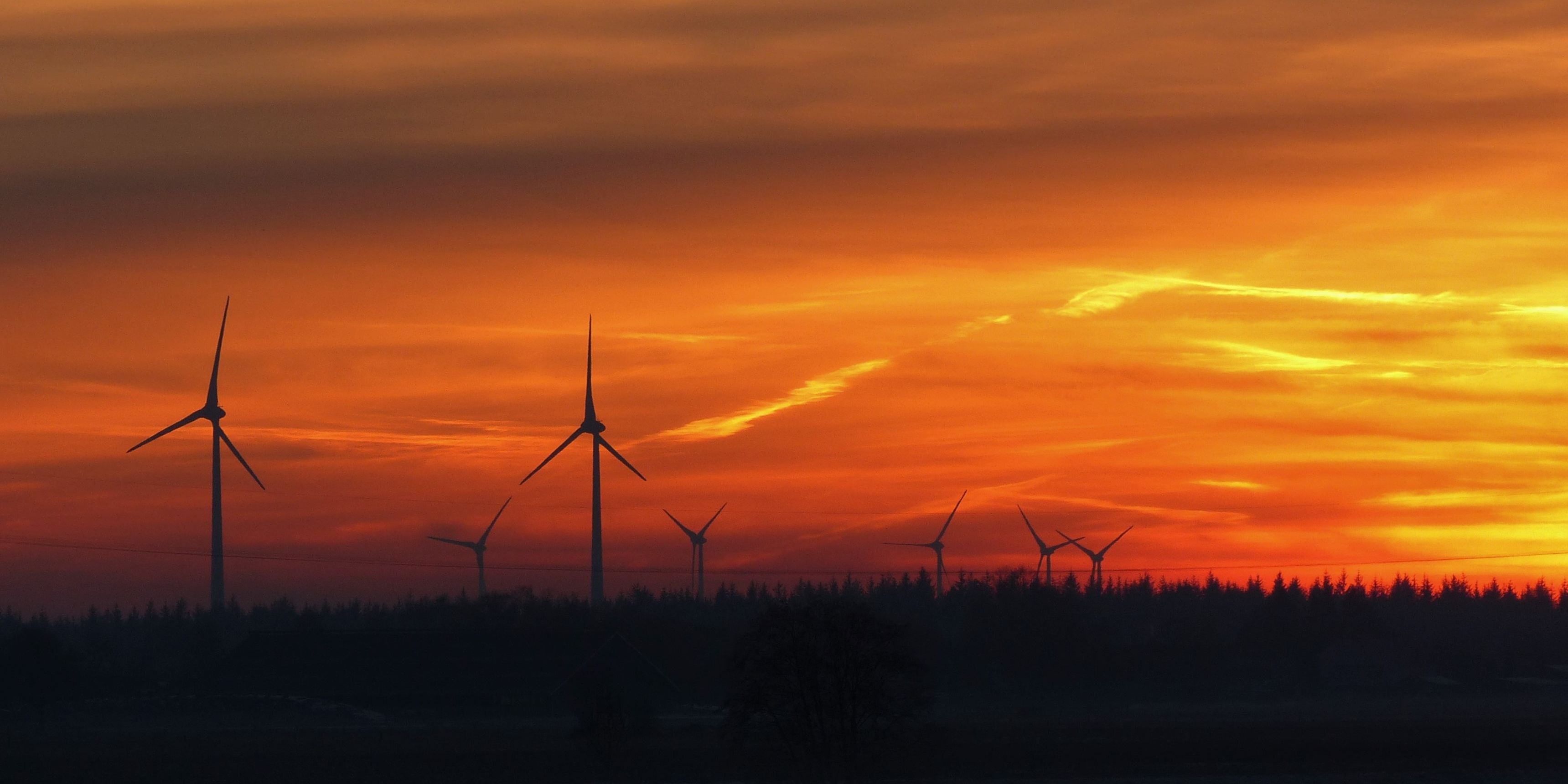 naturreise-deutschland-ostfriesland-ecotour-windraeder-sonnenuntergang-natucate