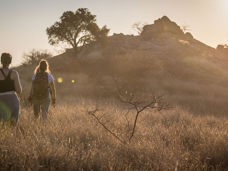 blog-sabbatical-mut-zur-auszeit-safari-natucate