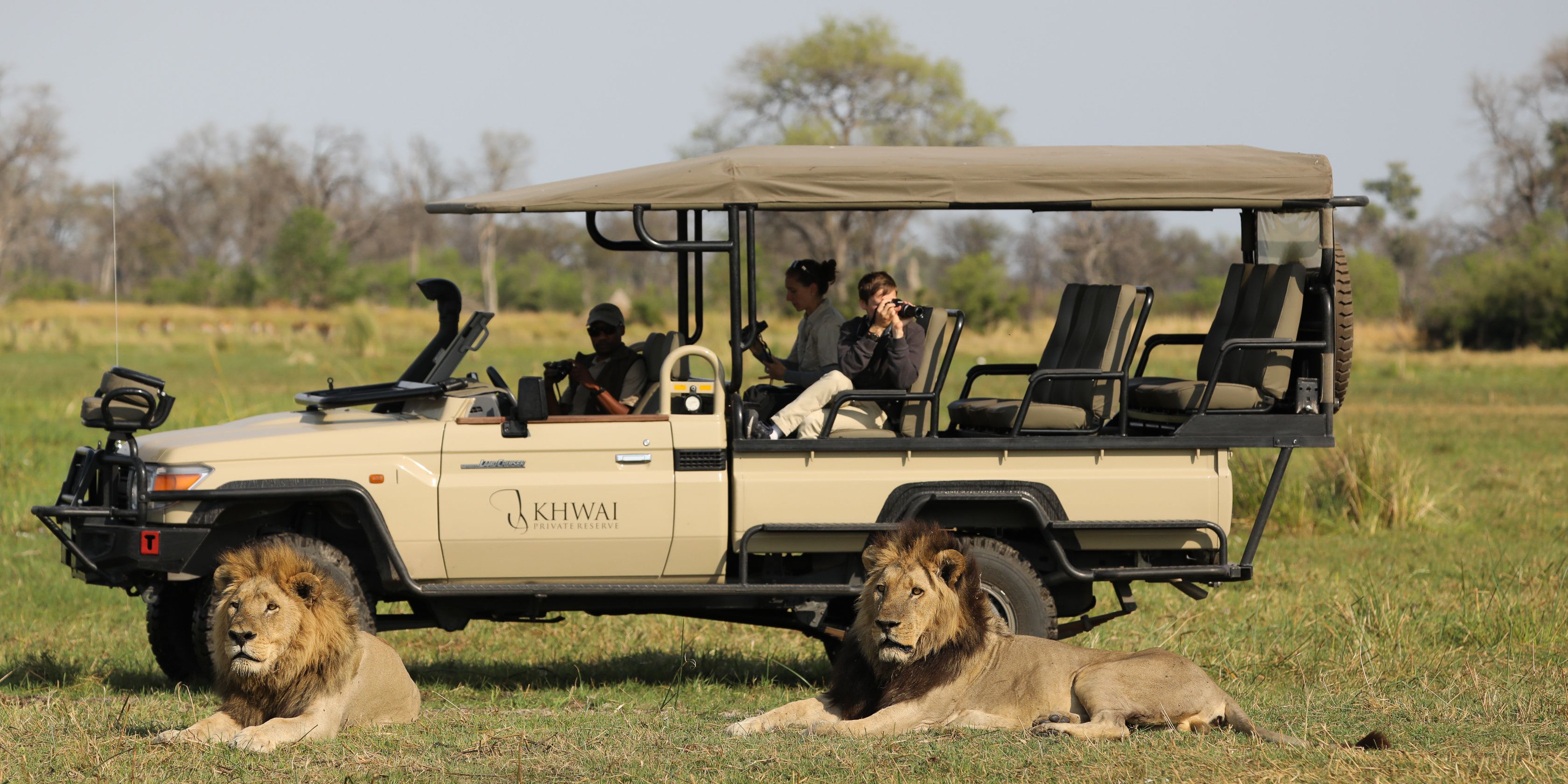 natucate-pwe-botswana-khwai-game-drive-lion