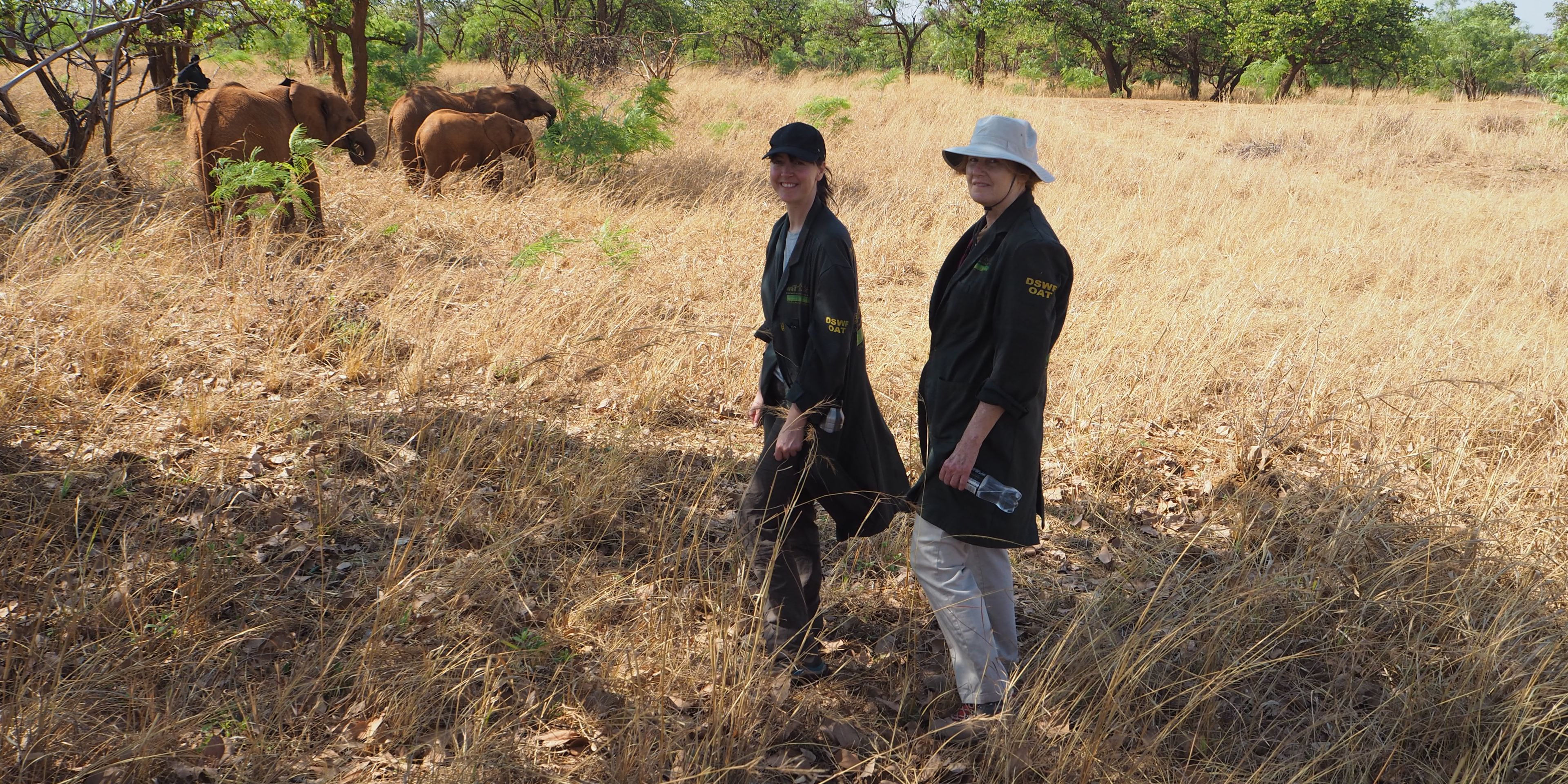 freiwilligenarbeit-sambia-artenschutz-elefanten-volunteers-kafue-natucate