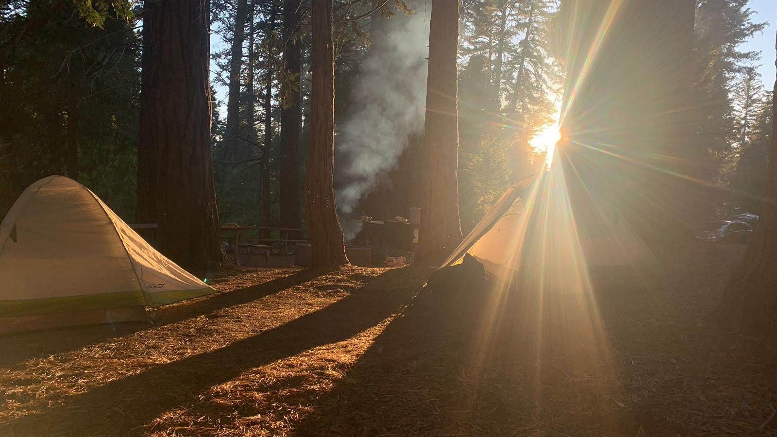 erfahrungsberichte-usa-kalifornien-naturschutz-sebastian-zelt-sonnenschein-natucate