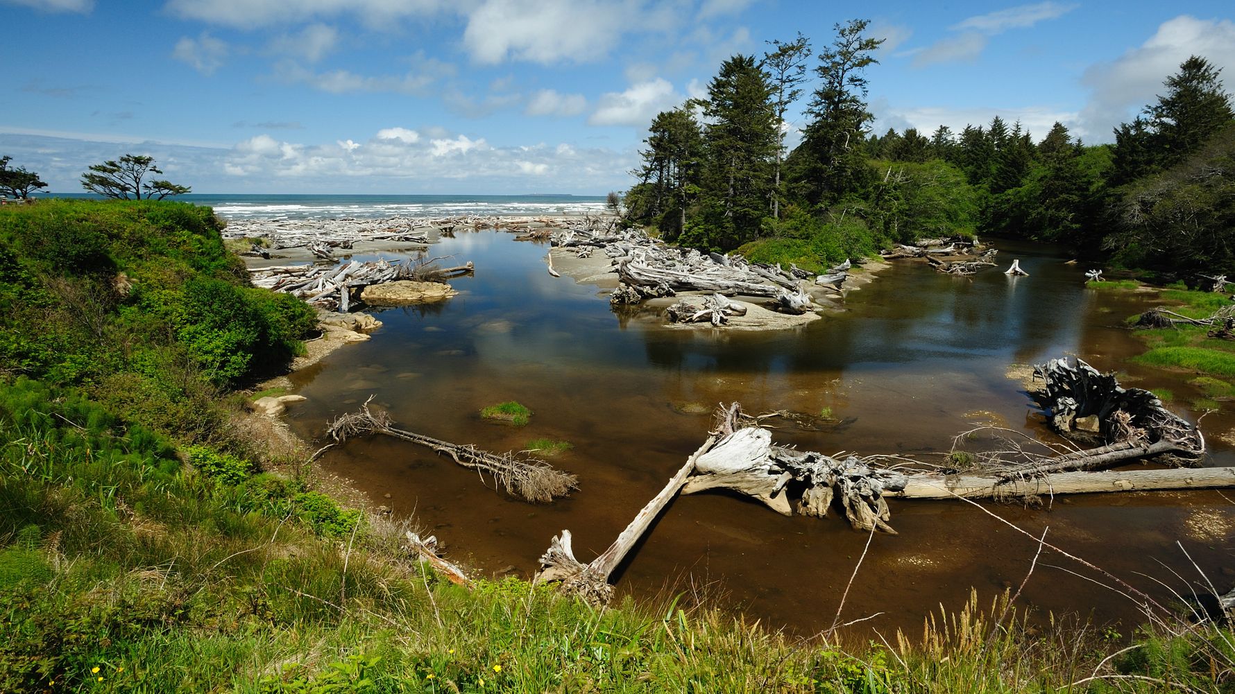 blog-ratgeber-usa-washington-fluss-wald-natucate