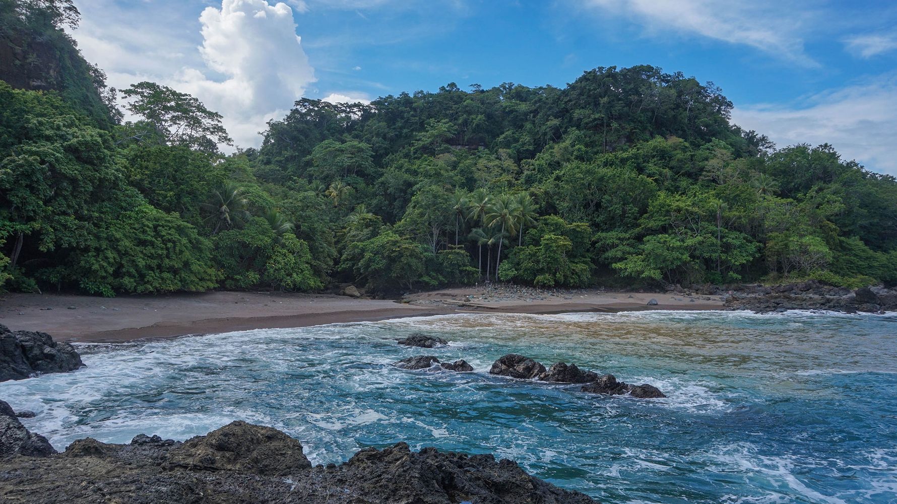 erfahrunsgbericht-costa-rica-praktikum-kundenfotos-artenschutz-kueste-natucate