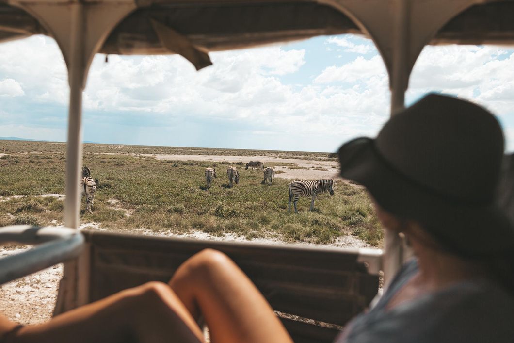natucate-safari-namibia-etosha-game-drive-zebra-lookout
