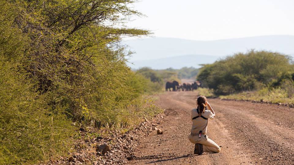 blog-camp-pongola-suedafrika-elefanten-natucate