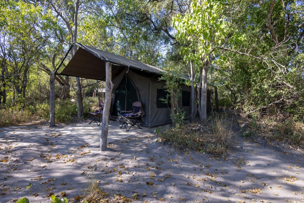 natucate-camp-kwapa-2024-front-tent