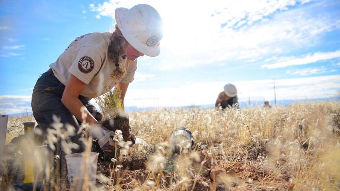 Volunteer abroad in nature conservation: Volunteers in the USA doing conservation work in California