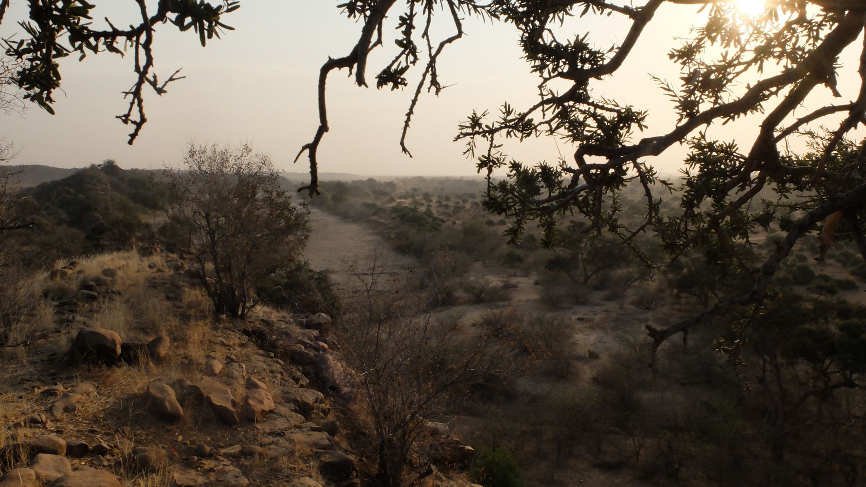 blog-sabbatjahr-steuern-sparen-im-sabbatical-wildnis-natucate