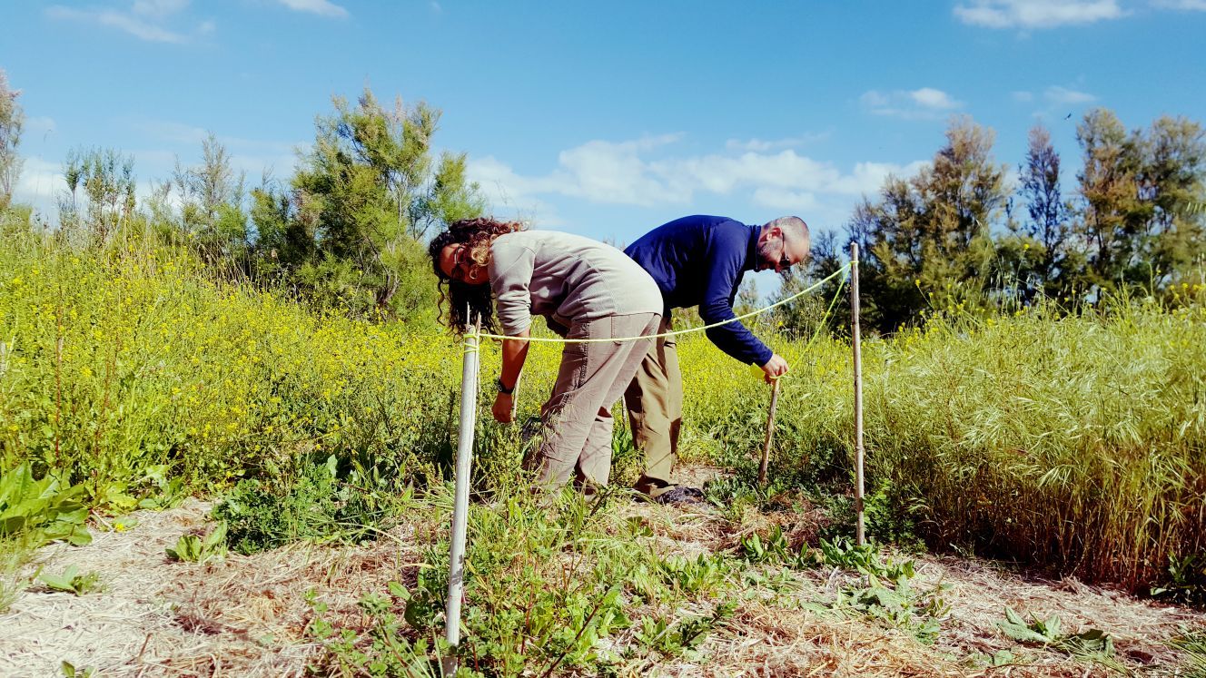 Freiwilligenarbeit Naturschutz: Volunteers bei Naturschutz-Arbeiten in Spanien