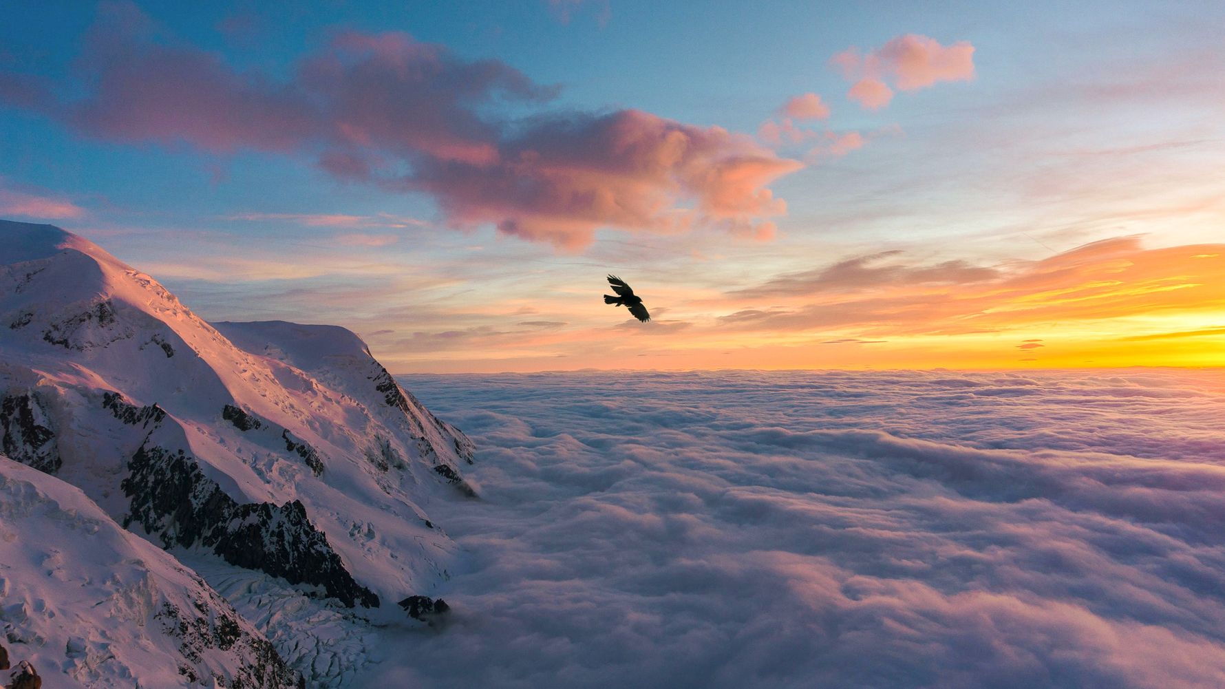 High above the clouds, a single bird flies along the summit of Mont Blanc at sunset