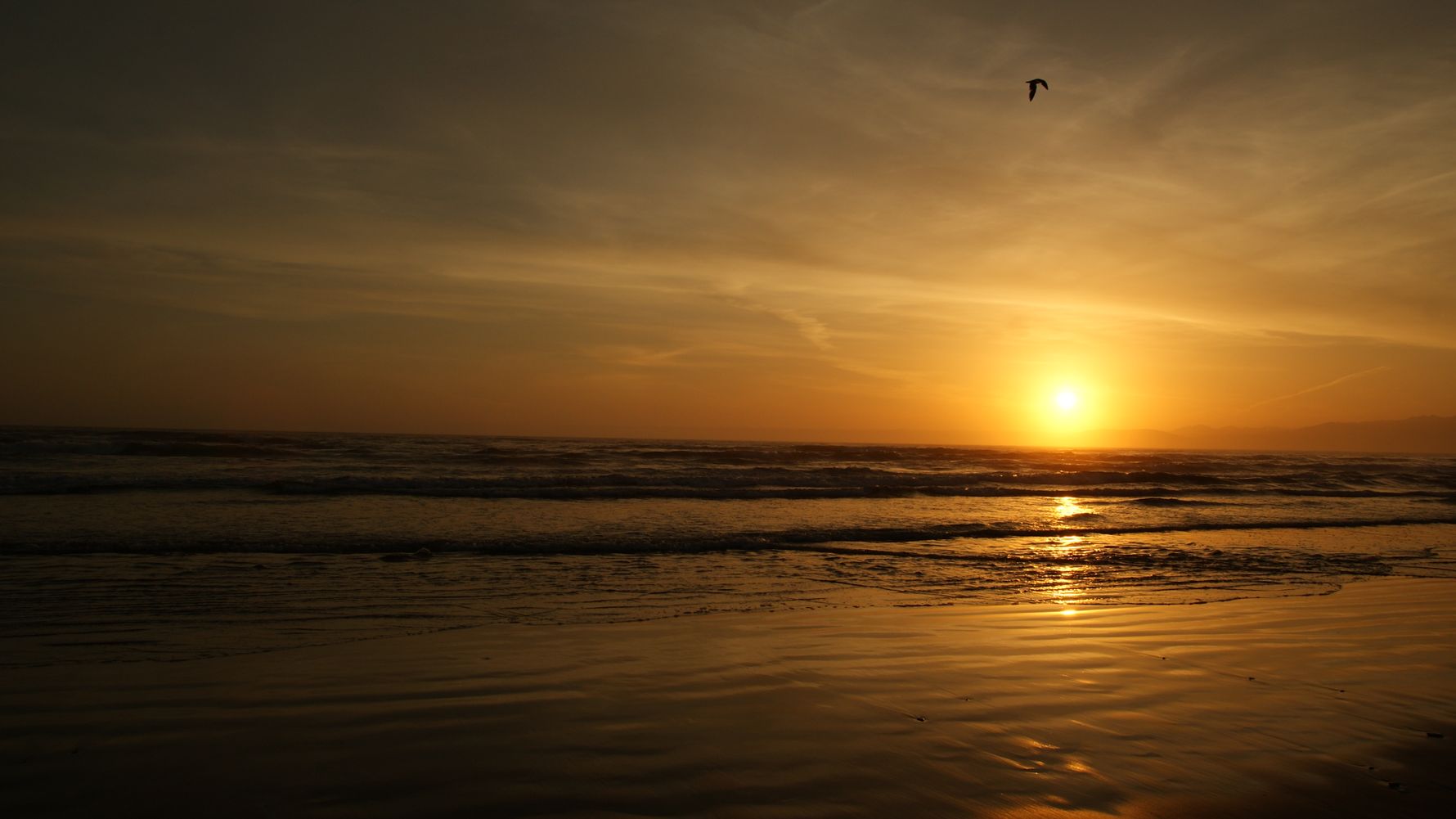 Field-Guide-Ausbildung: Strandblick mit Sonnenaufgang