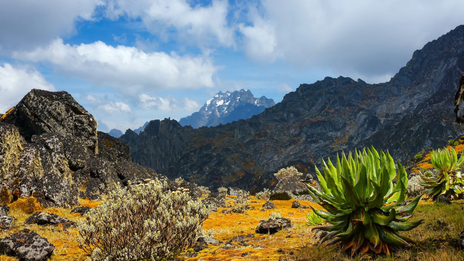 uganda-laenderinformation-rwenzori-gebirge-landschaft