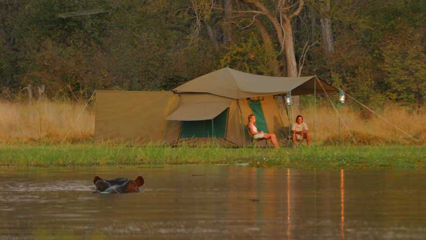 nilpferde-naturwissen-blog-natucate