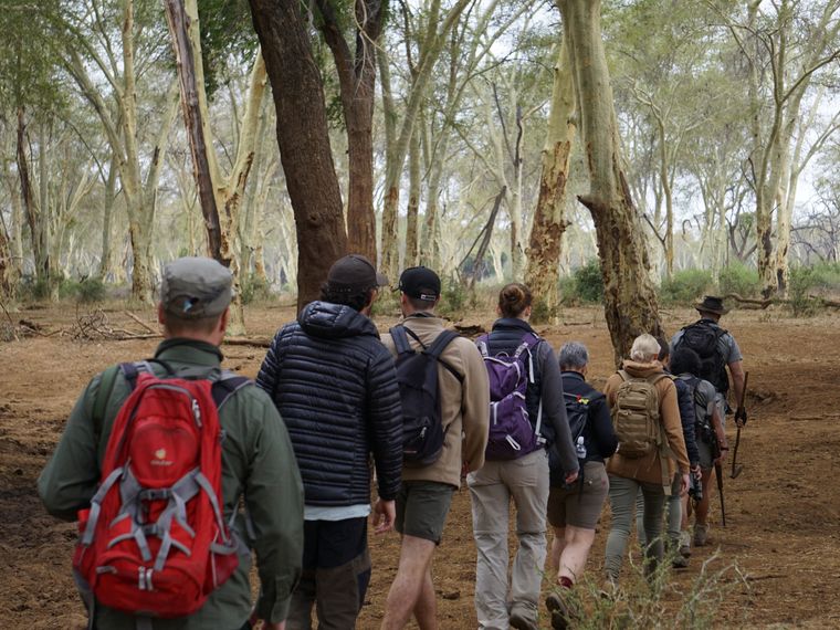 blog-ratgeber-safaris-vorausetzungen-walking-safari-natucate