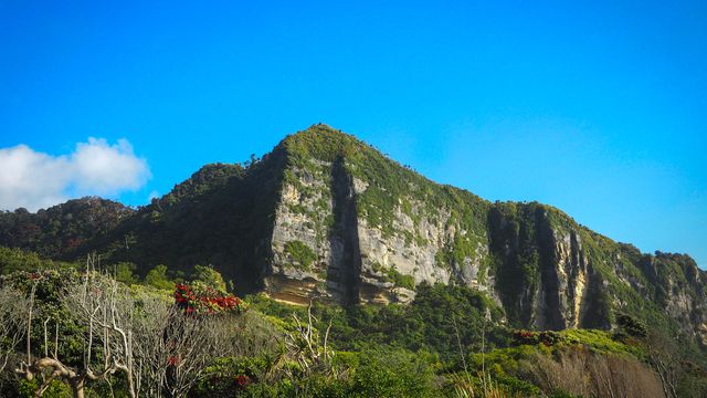 erfahrungsbericht-freiwilligenarbeit-naturschutz-neuseeland-nancy-gebirge-natucate