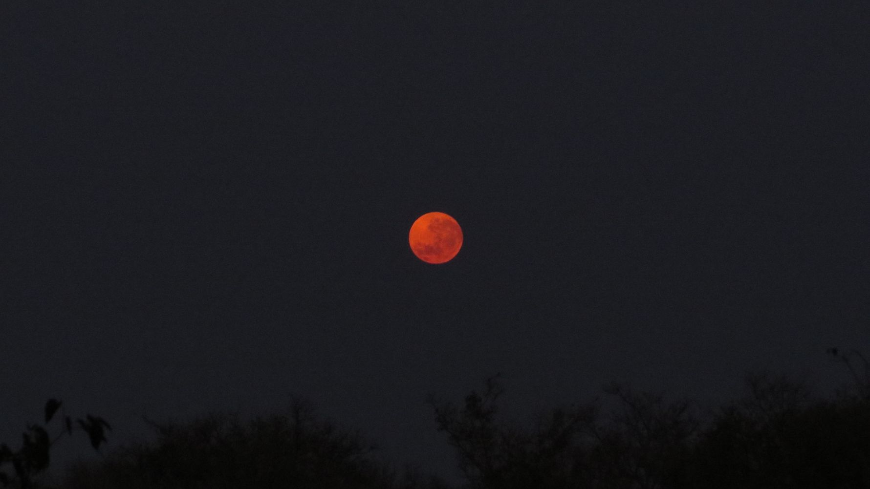 Rangerkurs: Ein roter Mond ueber der afrikanischen Savanne