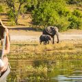 reiseorte-botswana-okavango-delta-elefanten-natucate