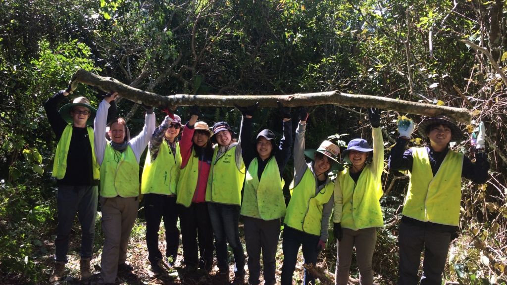 erfahrungsbericht-australien-kundenfotos-sabbatjahr-waldarbeit-natucate