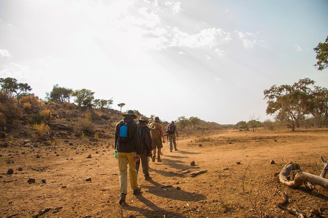 naturkurs-suedafrika-ecotracker-wildlife-monitoring-game-walk-natucate