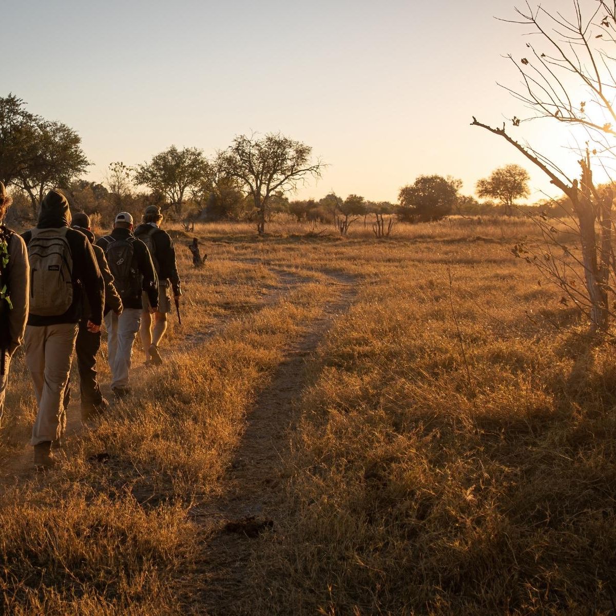 Kursteilnehmer einer Private Wilderness Experience durchqueren eine Grassavanne im suedlichen Afrika