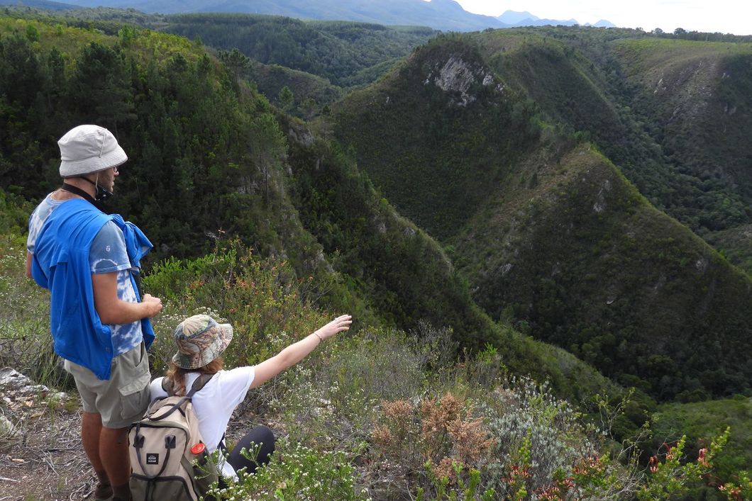 natucate-internship-south-africa-nature-valley-trust-learning-forest-view-hike