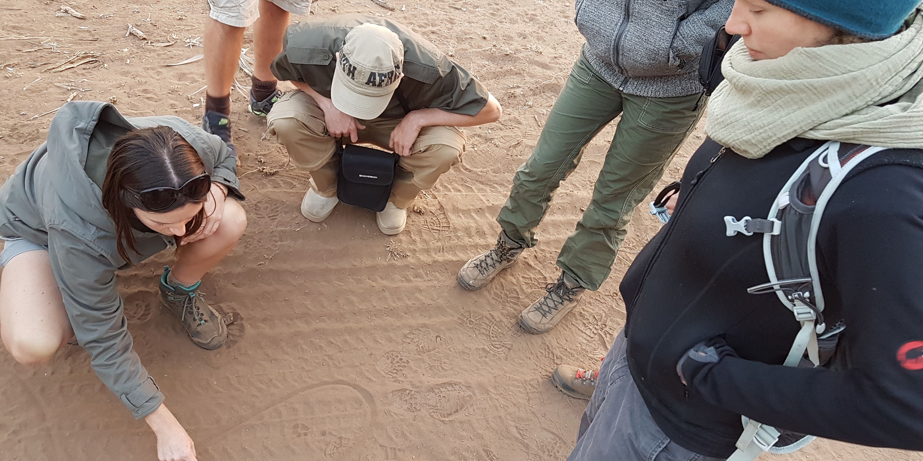 Eine Gruppe von Teilnehmern hockt zusammen mit dem Guide am Boden und liest Spuren im Sand