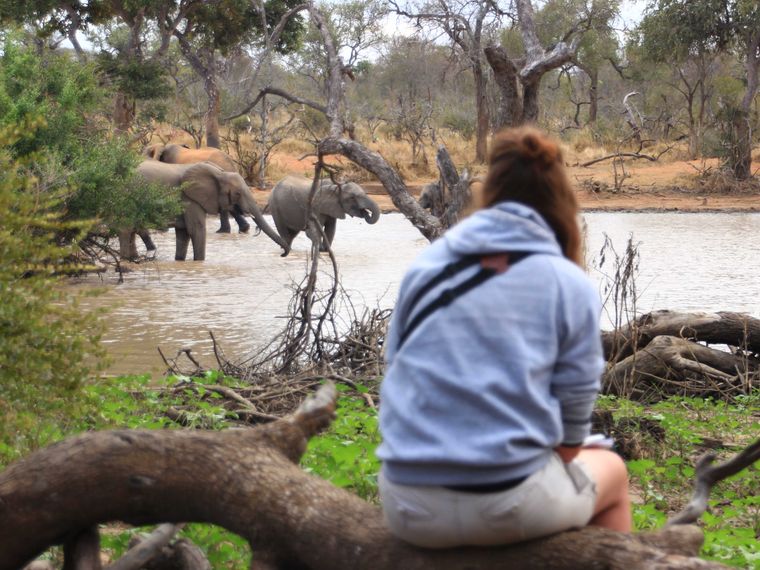 erfahrungsberichte-rangerkurs-field-guide-level-1-afrika-lea-pridelands-natucate