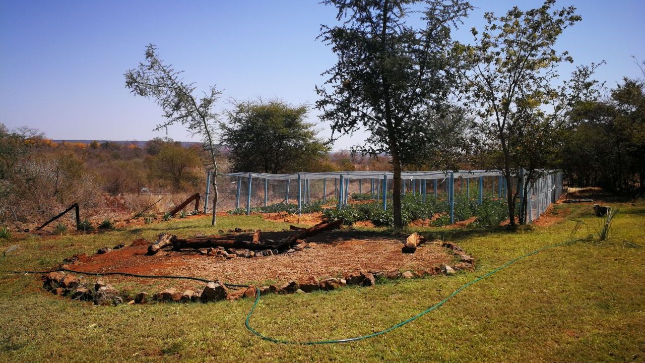 blog-ratgeber-camp-victoria-falls-garten-natucate