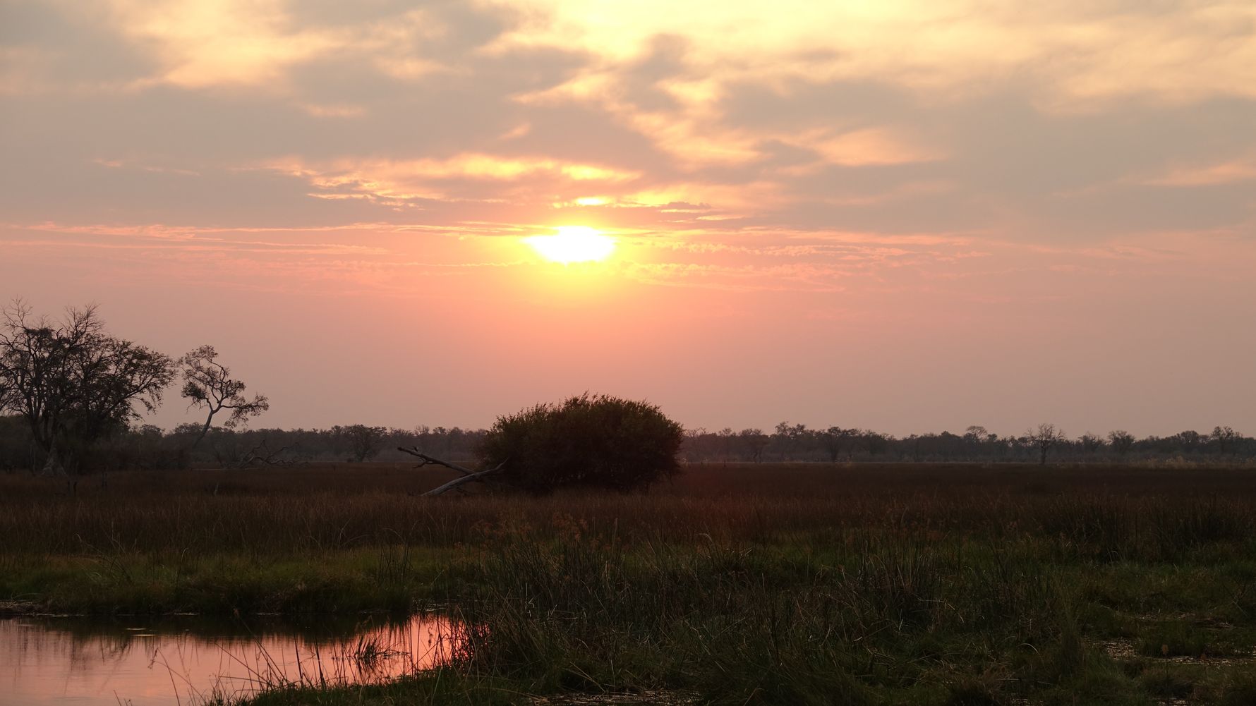 blog-ratgeber-botswana-chief-s-island-sundwon-natucate