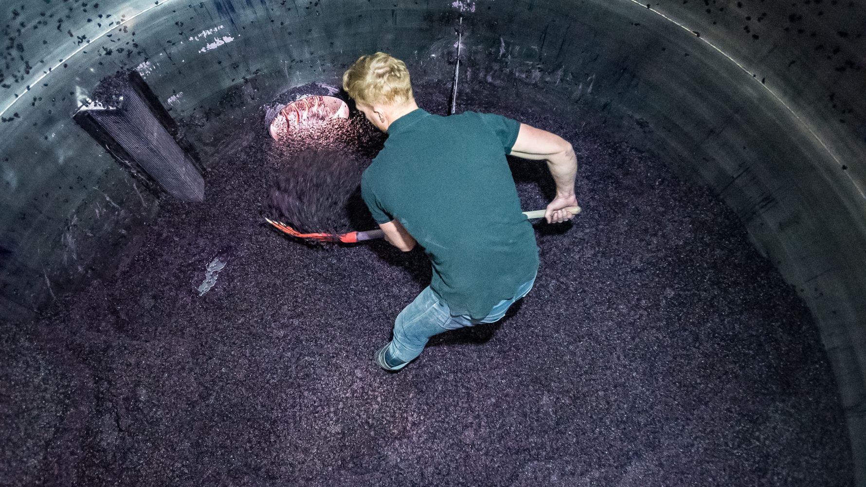 erfahrungsberichte-praktikum-usa-weinbau-michael-weintrauben