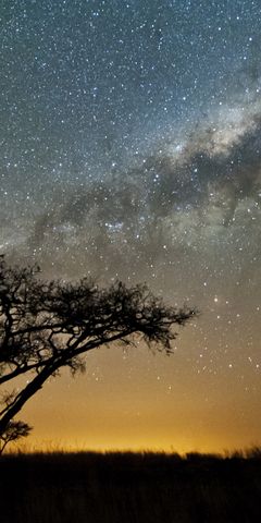 botswana-safari-adventure-boating-night-sky