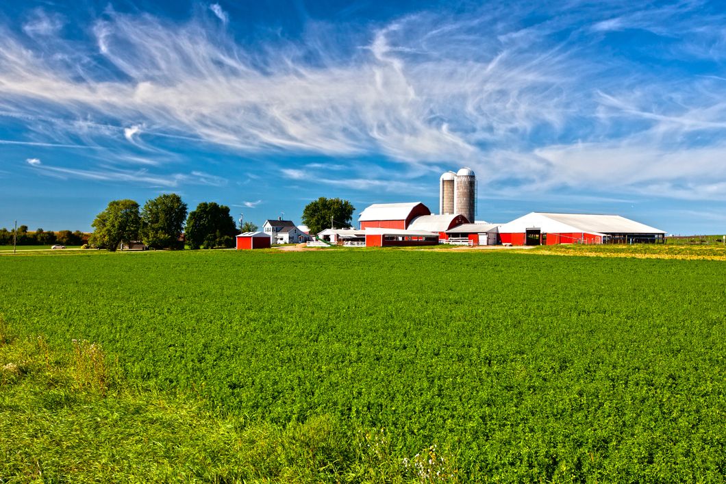 auslandspraktikum-usa-nordamerika-milchwirtschaft-landwirtschaft-farm-acker-natucate