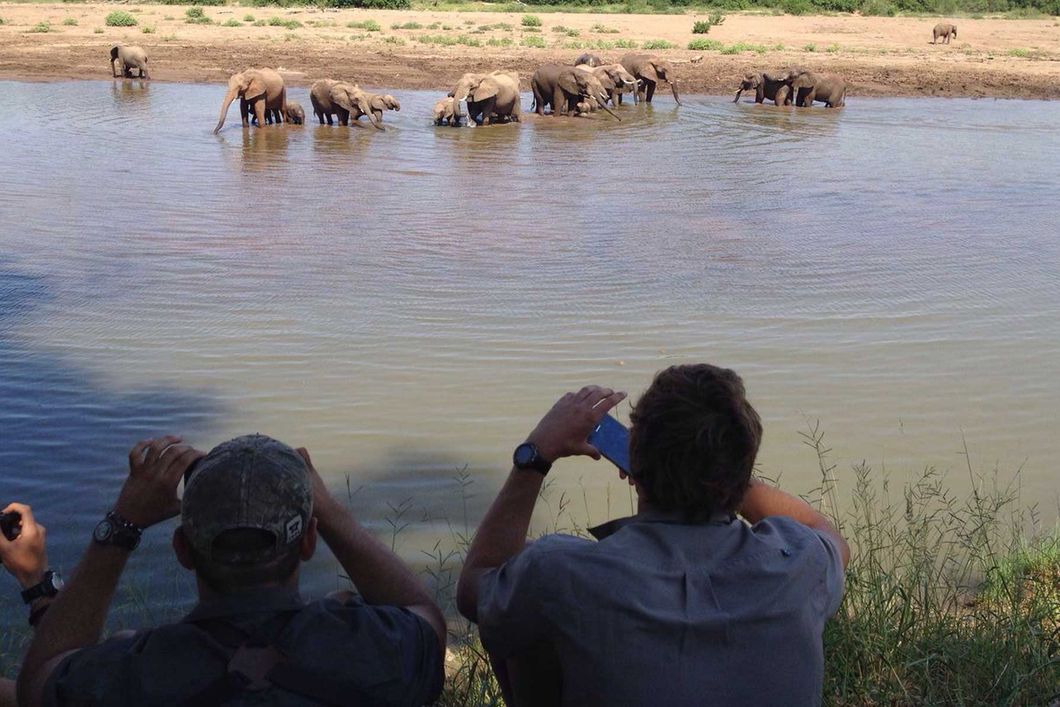 Reisegruppe beobachtet trinkende Elefantenherde am Wasserloch waehrend einer Safari-Tour