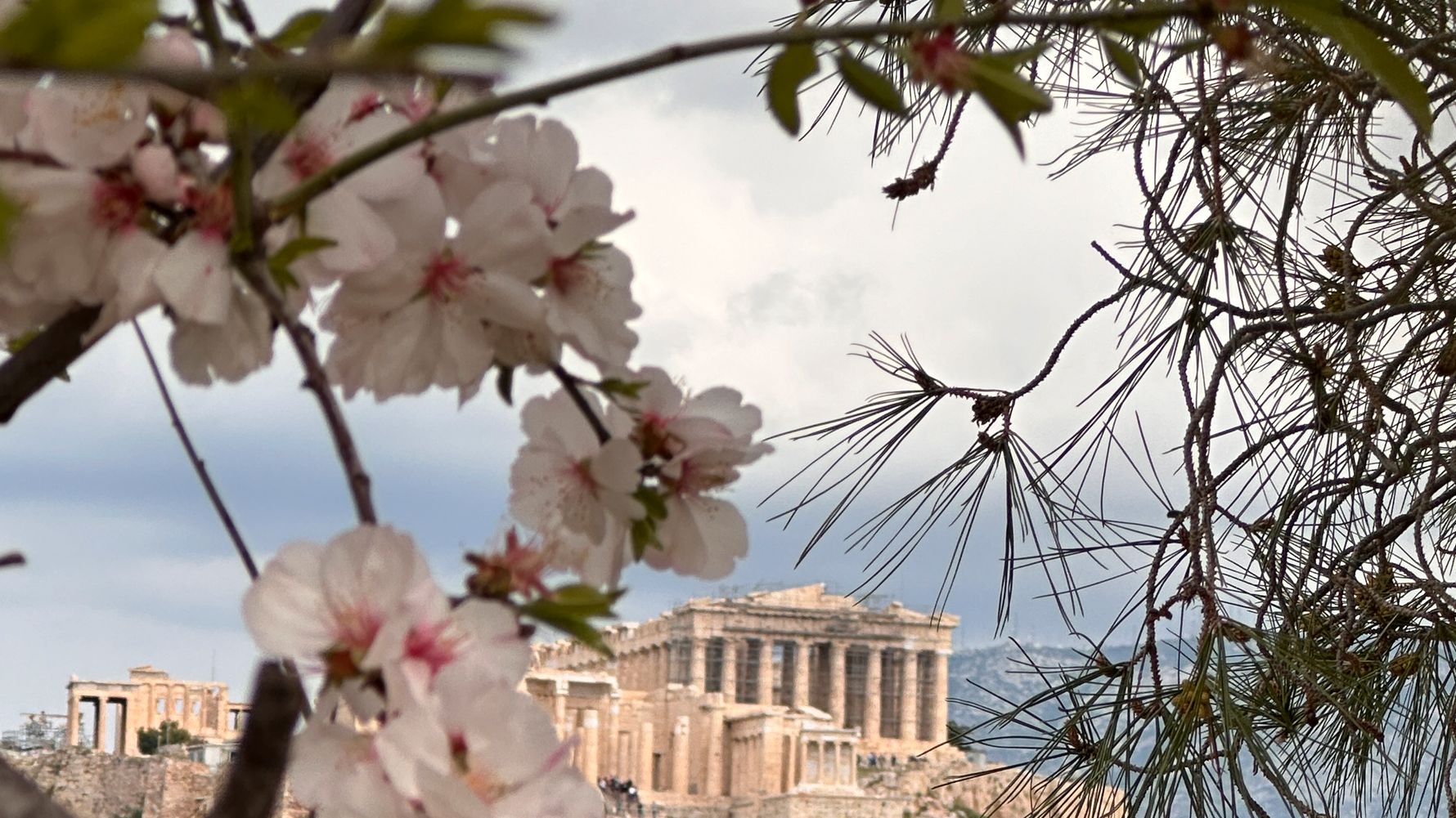 natucate-erfahrungsbericht-griechenland-tierschutz-jasira-sightseeing-statte