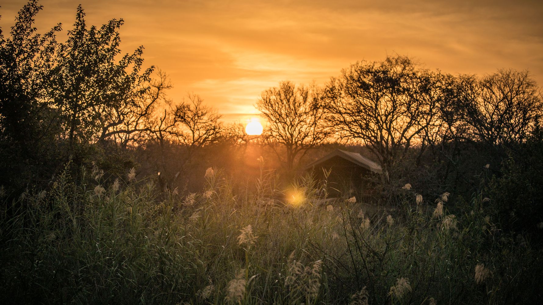 blog-sabbatjahr-rechtliche-fragen-landschaft-natucate