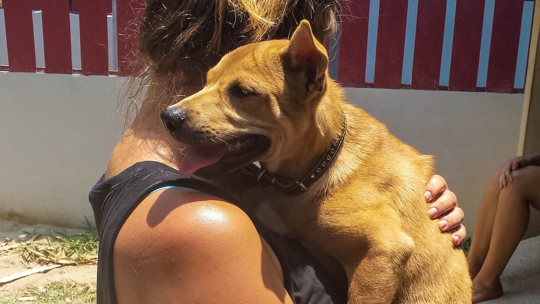 freiwilligenarbeit-thailand-erfahrungsbericht-tierschutz-kundenfotos-hund-natucate