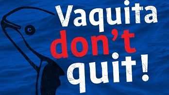 blog-wissen-vaquita-dont-quit-natucate-poster
