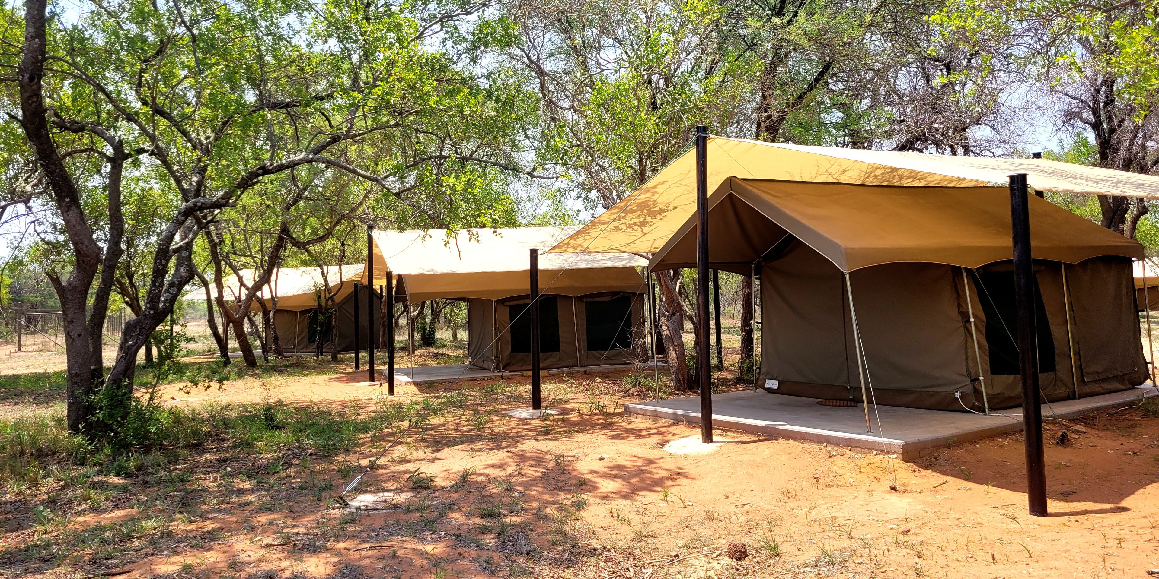 natucate-volunteering-south-africa-marataba-tented-camp