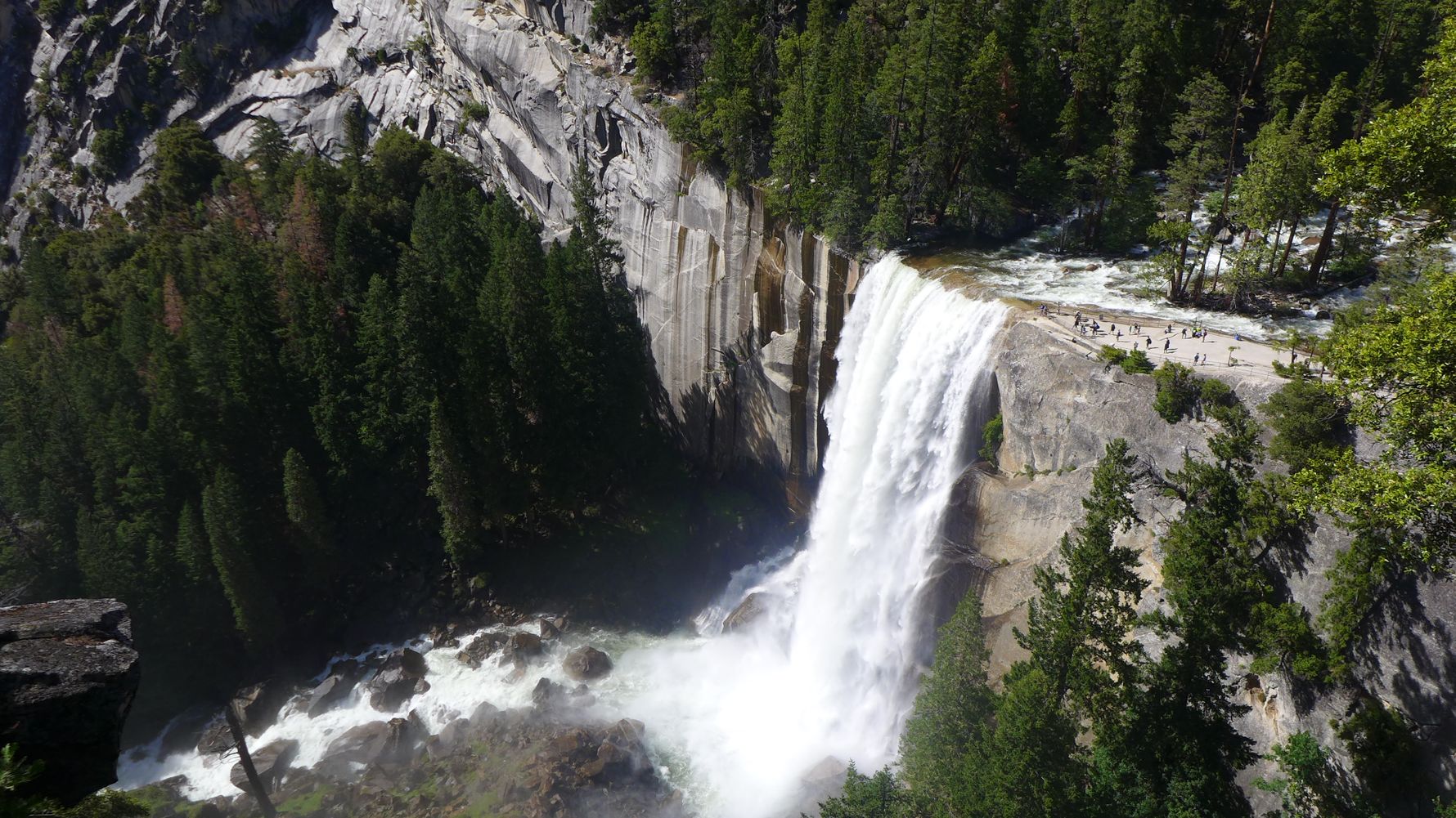 freiwilligenarbeit-usa-kalifornien-erfahrungsbericht-naturschutz-kundenfotos-wildnis-natucate