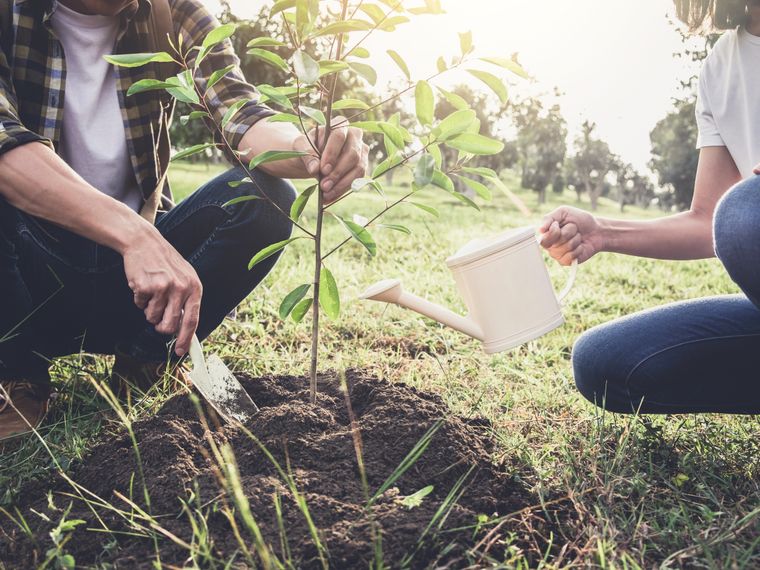 blog-ratgeber-auslandspraktikum-nutzen-und-vorteile-freiwilligenarbeit-pflanzen-natucate