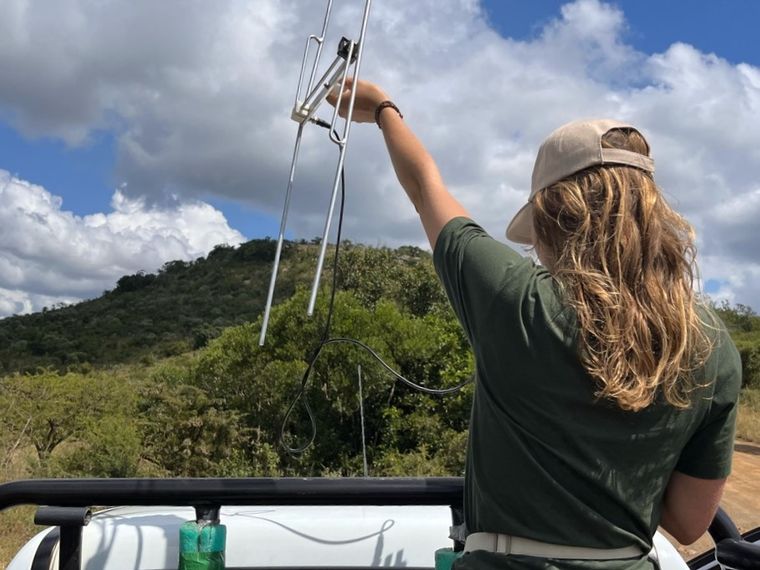 Nellie steht auf einem Fahrzeug und erfasst Daten in Zululand mit Natucate