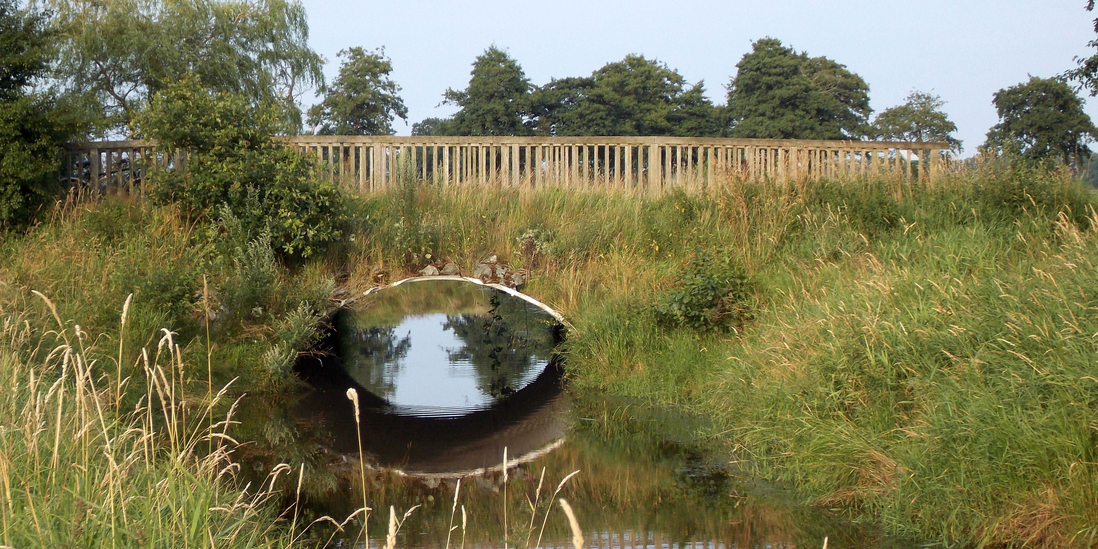 naturreise-deutschland-ostfriesland-ecotour-kanal-bruecke-natucate