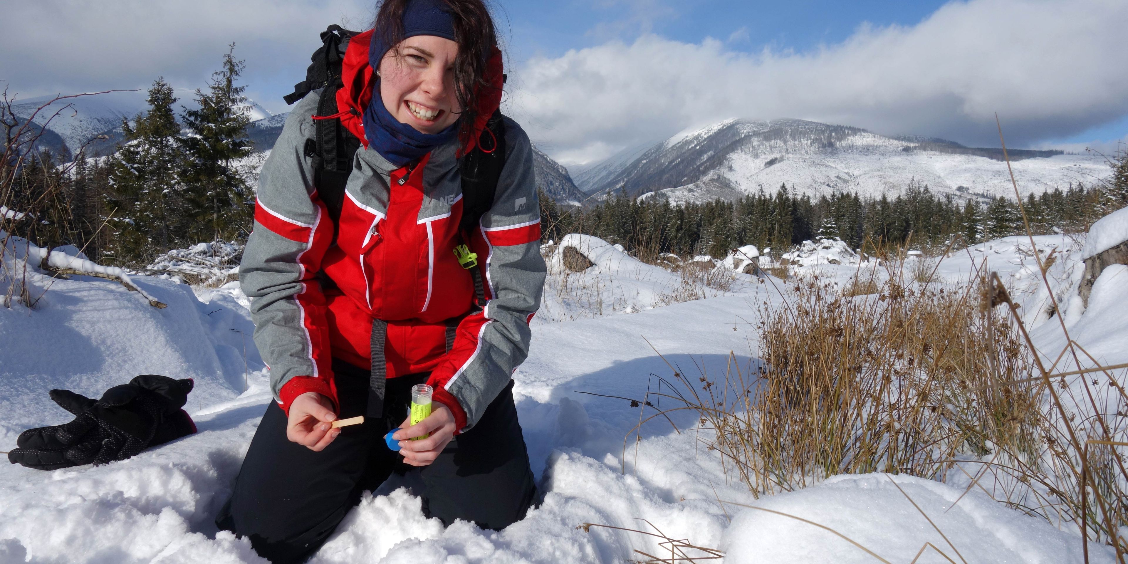 A voluntary helper in the wolf and lynx project doing research work in the snow