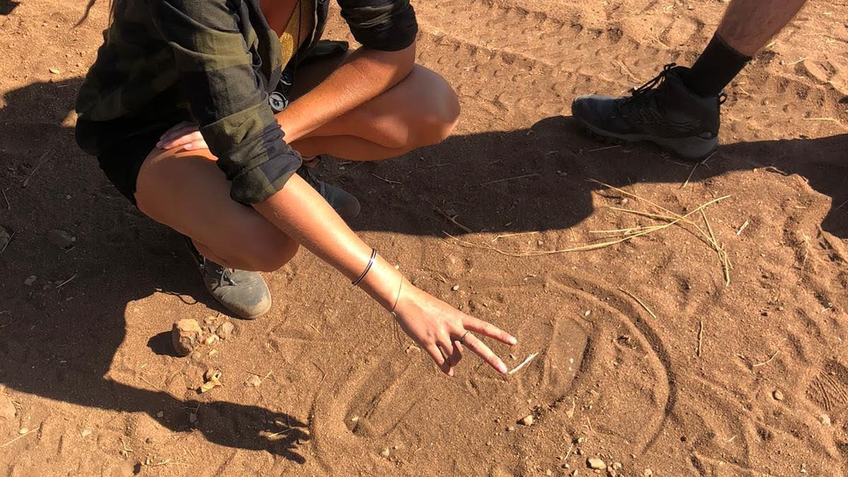 erfahrungsberichte-rangerkurse-field-guide-level-1-juliafaehrtenlesen